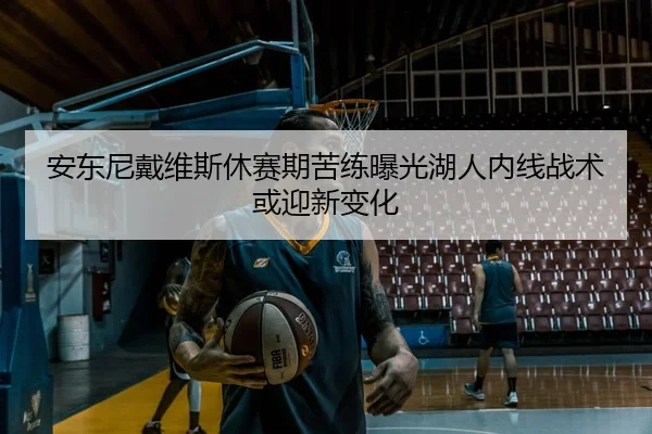 安东尼戴维斯休赛期苦练曝光湖人内线战术或迎新变化